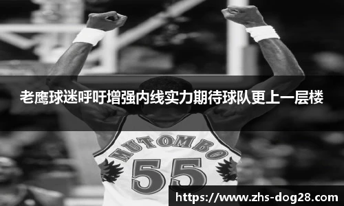 老鹰球迷呼吁增强内线实力期待球队更上一层楼