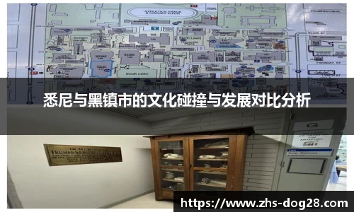 悉尼与黑镇市的文化碰撞与发展对比分析